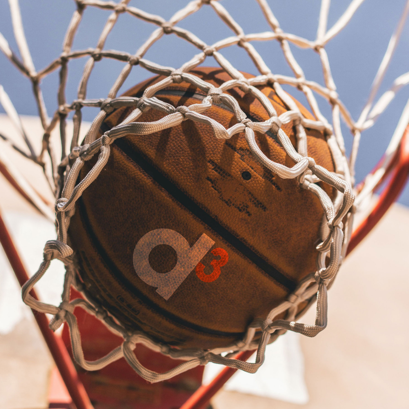 d3 Basketball in net